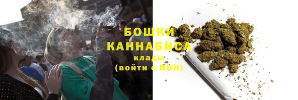 мдпв Майский