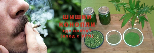 мдпв Майский