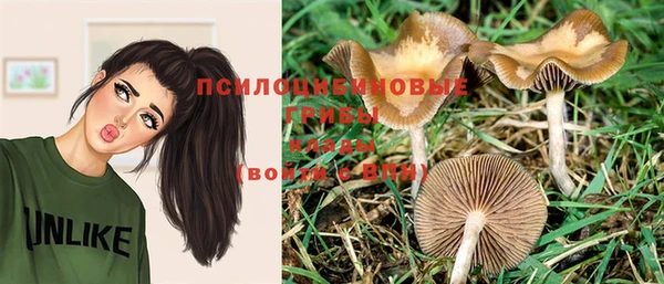 наркотики Магас